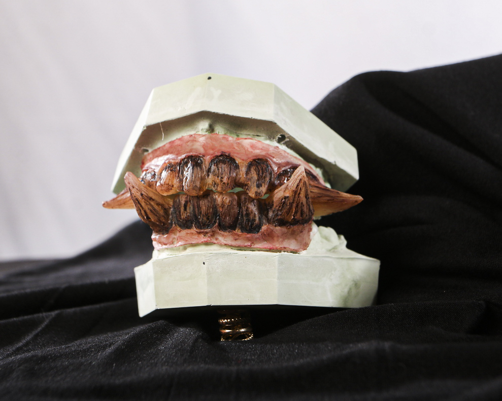 Close-up front view of Teeth Chiara featuring irregular brown teeth and prominent side tusks.