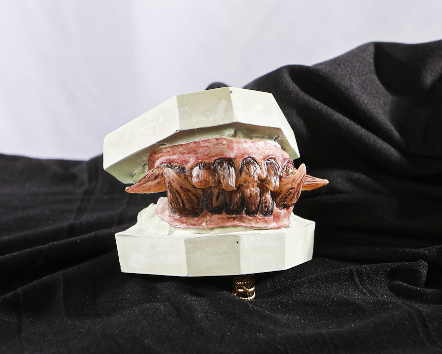 Front view of Teeth Chiara handcrafted wooden-style creature teeth displayed on a dental cast.